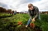 Tromsø-bonde Helga Nordgård gav gulrotdyrking andlet etter ein særs grøderik sommar i 2011.