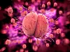 Bakterien Neisseria gonorrhoea. Illustrasjon: Giovanni Cancemi / Shutterstock / NTB
