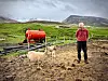 Den islandske sauen er ein god sau, meiner Jóhannes. Han har alt. Då dei prøvde å innføre skotske rasar, blei det berre sjukdom og trøbbel. Alle foto: Hallgeir Opedal
