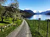 Postvegen gjennom Faleide i Stryn med snødekte toppar i bakgrunnen. Faleide spela ei sentral rolle i oppbygginga av den norske fjordturismen.