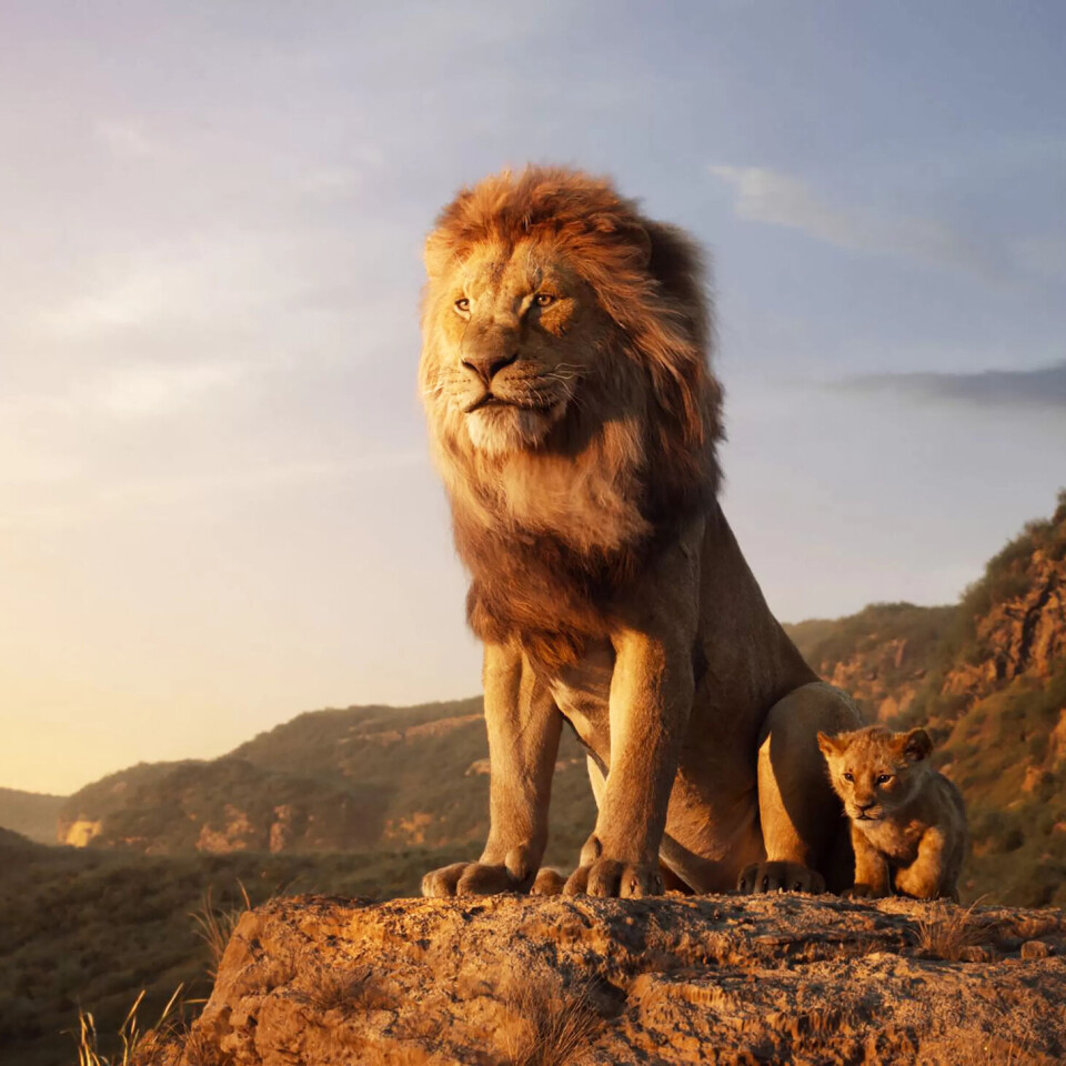 Jon Favreau har regissert den nye versjonen av filmen om løvekongen. Jon Favreau har regissert den nye versjonen av filmen om løvekongen.