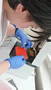 Bioingeniørstudent Desislava Nikolaeva Nikiforova gjer klar prøva til DNA sekvensering.