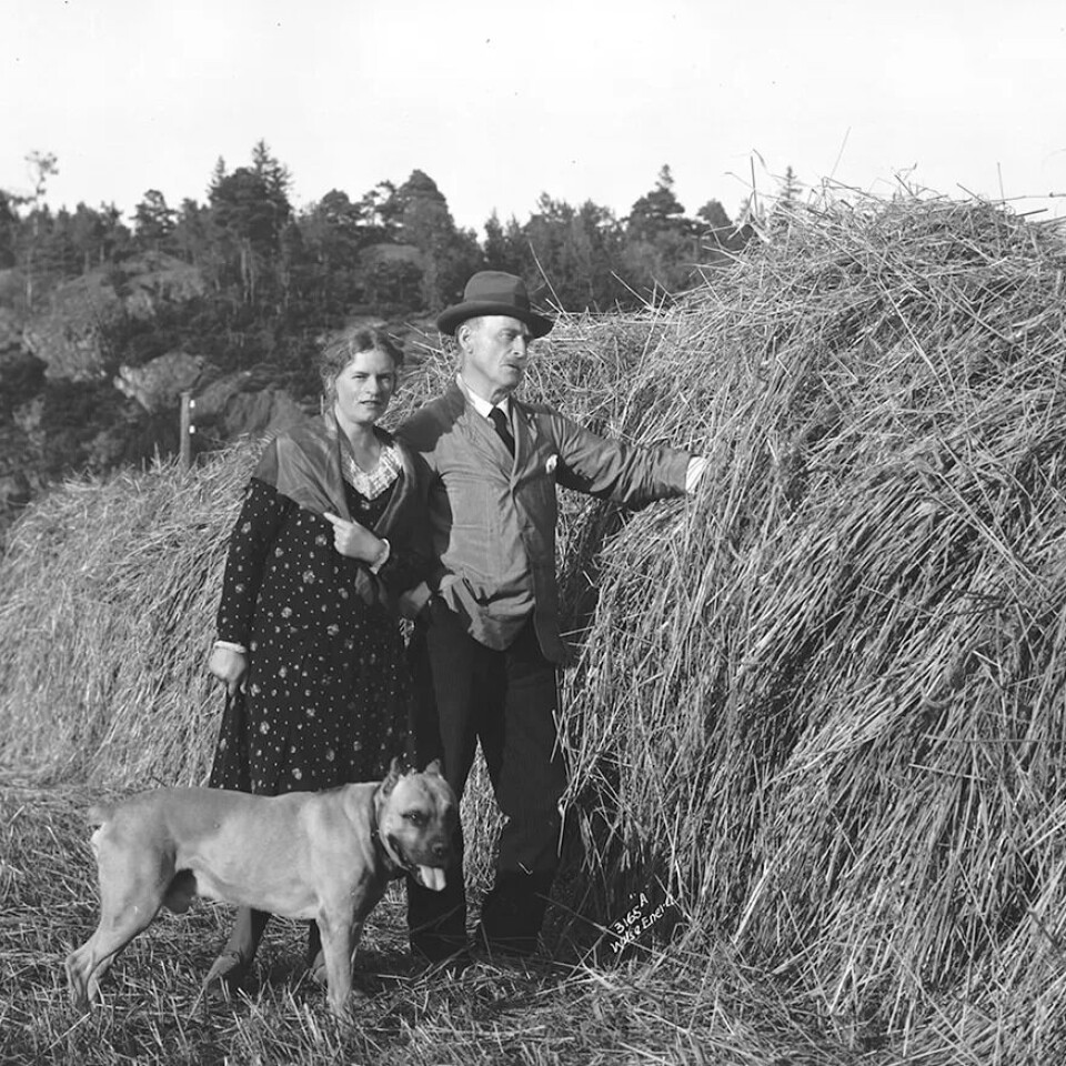 Knut og Marie Hamsun på herregarden Nørholm i Grimstad, som dei kjøpte i 1918. Knut og Marie Hamsun på herregarden Nørholm i Grimstad, som dei kjøpte i 1918.
