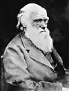 Den britiske vitskapsmannen Charles Robert Darwin gav opp å finne eit svar på urspørsmålet.