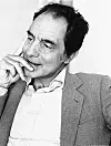 Italo Calvino vart fødd på Cuba i 1923 og døydde i Italia i 1985.