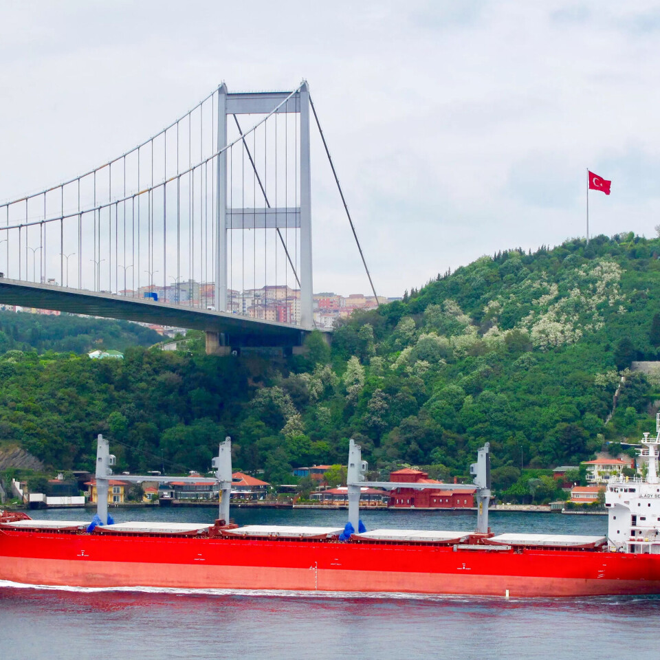 Istanbul: Ved ei av bruene over Bosporos møtte Yehezkeli mannen som sel falske syriske pass. Istanbul: Ved ei av bruene over Bosporos møtte Yehezkeli mannen som sel falske syriske pass.