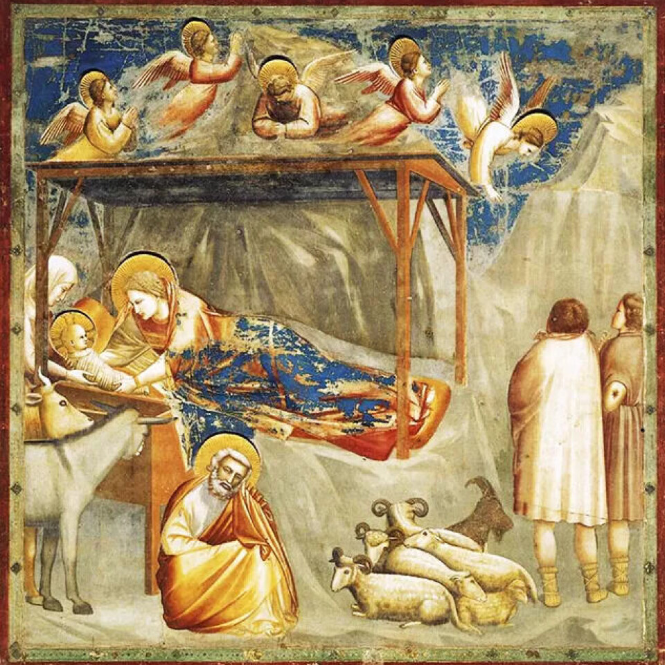 Jesu fødsel. Utsnitt av freskomålarstykke av Giotto di Bondone (ca. 1270–1337) i Scrovegni-kapellet i Padova. Jesu fødsel. Utsnitt av freskomålarstykke av Giotto di Bondone (ca. 1270–1337) i Scrovegni-kapellet i Padova.
