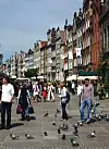 Langgata (Dluga) i Gdansk i Polen.