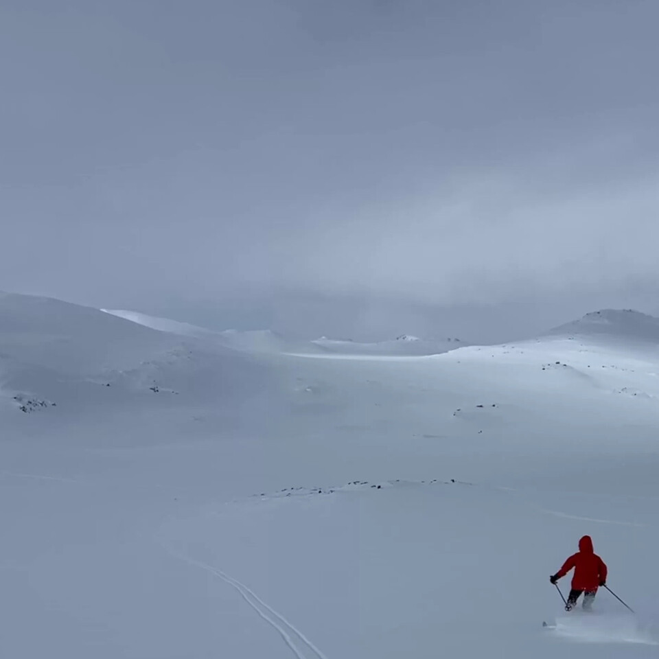 Påskesoge