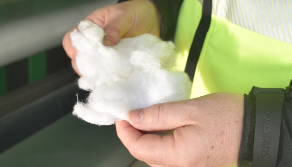 Ein dott tekstilfiber, resirkulert frå innsamla tøy, klart til å verte brukt igjen.