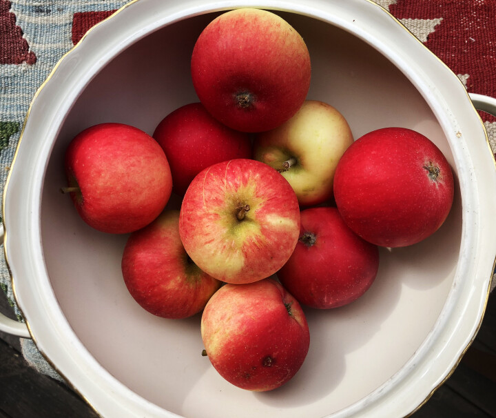 «Give me spots on the apples, but leave me the birds and the bees», syng Joni Mitchell.