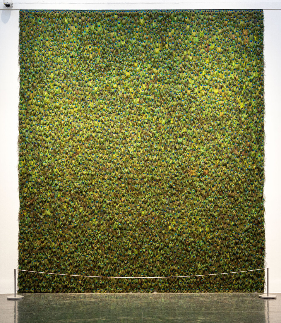 Påfuglfjør-auga er monterte tett i tett over 405 x 350 meter. Dei representerer dei 3500 kurdiske jesidiane som blei bortførte av IS, og som er døde eller framleis sakna. Verket av Gelawesh Waledkhani heiter «The Colour of Paradise».