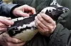 A penguin receives vaccination against Bird Flu at Blijdorp Zoo in Rotterdam, the Netherlands, Tuesday, Dec. 13, 2005. The zoo is believed to be the first in Europe to begin inoculation against the H5 strains of bird virus, including the H5N1 strain that has swept through flocks and killed at least 69 people since 2003. (AP Photo/Fred Ernst)